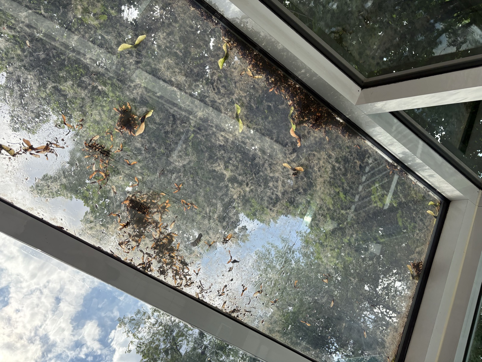 Vitres sales avant lavage